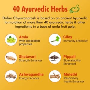 Special Dabur Chyawanprash for your Health- 2 X Immunity